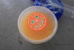美味しいジョグトリップのオアシス食