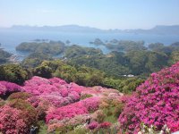 長串山公園ツツジまつり