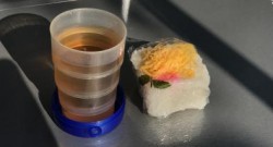 美味しいジョグトリップのオアシス食